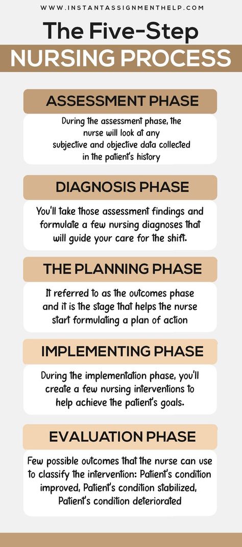 Nursing Process Study Guide, Nursing Theories, Nursing Websites, The Nursing Process, Types Of Precautions Nursing, Theoretical Foundation Of Nursing, Nursing Fundamentals Safety, Patient Assessment Nursing, Health Assessment Nursing