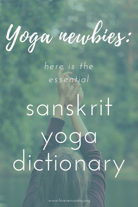 Yoga Sanskrit, Yoga Terms, Yoga Teacher Resources, Yoga Ashtanga, Yoga Nature, Ayurveda Yoga, Yoga Philosophy, Fitness Video, Beginner Yoga