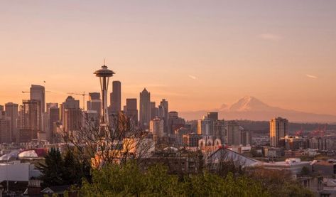 Here are my reviews of the best hostels in Seattle to help you have fun and save money during your next visit to Emerald City! Seattle Aquarium, Visit Seattle, Moving To Seattle, Orlando Magic, Emerald City, Photos Hd, Filming Locations, Seattle Washington, Grey's Anatomy