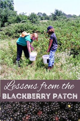 You're not just picking berries, you're teaching valuable lessons and skills. Lessons from the blackberry patch. Getting Chickens, Blackberry Patch, Food Mushrooms, Homesteading Life, Homestead Lifestyle, Picking Berries, Rules For Living, Rules For Life, Growing Trees