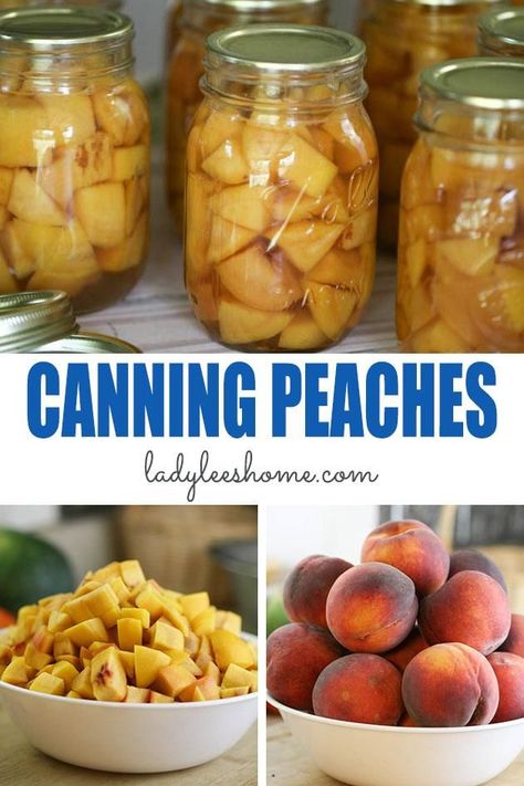 Canning peaches is a simple way to enjoy summer peaches year-round! Let me show you how to can peaches step by step in this canning peaches tutorial. #canningpeaches #howtocanpeaches #cannedpeachesrecipe How To Can Peaches, Can Peaches, Canning Granny, Easy Canning, Canning Peaches, Canning 101, Peach Preserves, Home Canning Recipes, Canning Vegetables