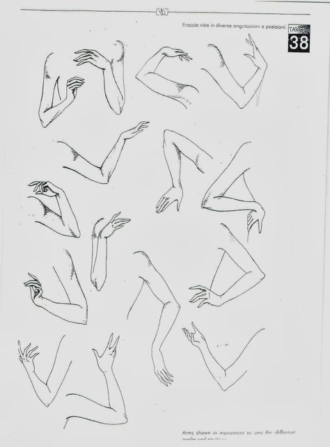 Arms And Legs Drawing, Hands Held Together Drawing, Fashion Illustration Hand Poses, Arm Drawing Reference Poses, Arm References Drawing Female, Arm Holding Reference, Hand Movements Sketch, 4 Arms Drawing Reference, Arms Reference Drawing