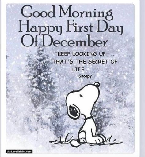 December Quotes Happy, Welcome December Quotes, Happy First Day Of December, Hello December Quotes, Hello February Quotes, First Day Of December, February Quotes, Charlie Brown Quotes, Welcome December