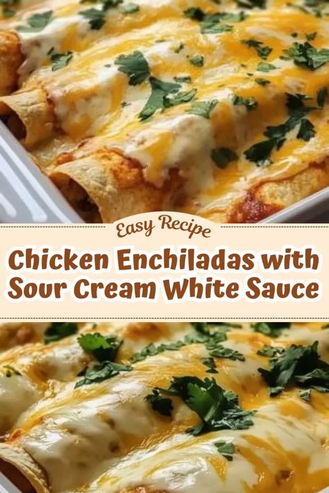 White Cheese Sauce For Enchiladas, Mexican Food Recipes Enchiladas White Chicken Sour Cream Sauce Easy, Recipes With Chicken And Sour Cream, Chicken Enchiladas Sour Cream Sauce, Sour Cream Chicken Enchilada Recipe Easy, Sour Cream Dinner Recipes, Shredded Chicken Cream Cheese Recipes, Sour Cream Sauce For Enchiladas, Sour Cream Recipes Dinner