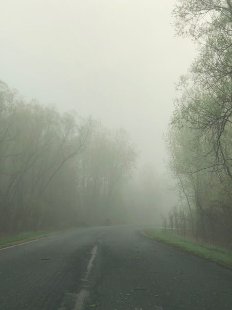 foggy morning, dark, photography, summer fog, spring fog, foggy forest, foggy forest aesthetic Unforgiving Fog, Foggy Forest Aesthetic, Foggy Town, Foggy Spring, Fog Images, Foggy Nature, Evermore Aesthetic, Fog Photography, Canadian Forest