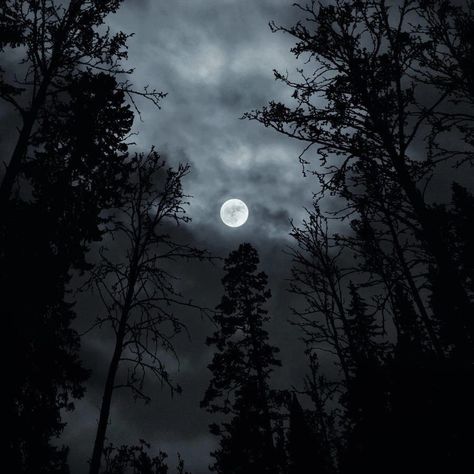 Dark Witchcore, Dark Castle, Dark Landscape, The Moon Is Beautiful, Night Forest, Dark Paradise, Magic Aesthetic, Gothic Aesthetic, Dark Winter