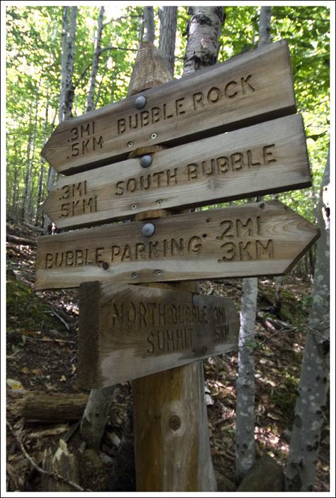 Acessibilidad y originalidad. Carteles informativos en el Parque Nacional de Acadia (United States). Nature Trail Signs, Camp Signage, Herb Planting, Trail Markers, Entrance Signage, Camping Lifestyle, Park Signage, Trail Signs, Wayfinding Signs