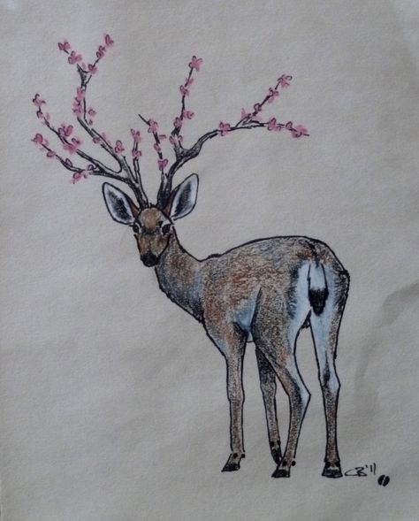 Deer with cherry blossom antlers Antlers Drawing, Mule Deer Buck, Deer Drawing, Wood Nymphs, Deer Buck, My Tattoo, Mule Deer, Oh Deer, Animals Artwork