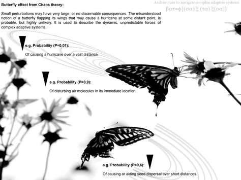 Butterfly Effect Theory, Universal Connection, The Butterfly Effect, Chaos Theory, Force Of Nature, Mass Media, Stormy Weather, Butterfly Effect, The Butterfly