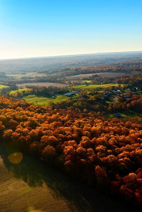 Discover the Maryland countryside this fall! 🍁 Take a scenic road trip and watch the trees burst into warmth on a relaxing drive through the country roads of Howard County, Maryland. Maryland Countryside, Scenic Road Trip, Ellicott City, Scenic Roads, Adventure Art, Ghost Tour, Drive Through, Group Travel, Scenic Drive