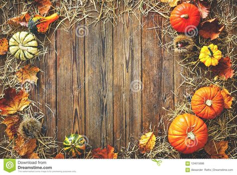 Harvest or Thanksgiving background with gourds and straw. Thanksgiving Backdrop, Thanksgiving Photography, Backdrops For Photography, Thanksgiving Background, Autumn Art Print, Festival Photography, Rustic Wooden Table, Thanksgiving Images, Yellow Balloons