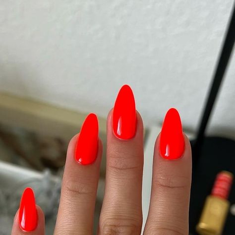 DND Gel on Instagram: "🧨🍊 Are you team neon or team classic crème? NEW DIVA First Class Collection has the juiciest orange shades ✈️🍊☁️💦

Prettiest swatches on @nailsbysmf wearing:
DV 218 Astral Spark 
DV 208 Perfect Orange 

Available in Gel Polish and Lacquer - Which shade is your favorite? 

#summernails #orangenails #neonnails #dndfirstclasscollection #gelnails #gelpolish #trednynails #prettynails #nailswatch #nailstyle #popularnails #coolnails #nailsofinstagram #nailsoftheday #nailsnailsnails #naturalnails #dndgel #dndgelpolish #dndastralspark #dndperfectorange #dndnails" Dnd Shocking Orange, Sparkly Orange Nails, Nail Orange, Red Orange Nails, Acrylic Nails Yellow, Nail Laquer, Cornrows Braids For Black Women, Orange Shades, Dnd Gel Polish