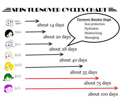 Skin Turnover Cycle Chart Skincare Product, Happy Skin, Rodan And Fields, Teaching Materials, Beauty Treatments, Improve Skin, 3 Things, Glowing Skin, Happy Life