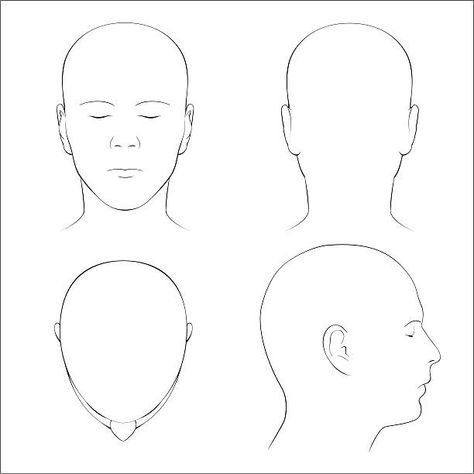 Head Diagram Hair, Barber Head Sheet, Head Top View Reference, Head Top View, Head Diagram, Cosmetology State Board Exam, Head Proportions, Hot Mess Hair, Head Template