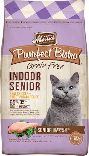 The Best Food for Senior Cats: 10 Top Picks for Older Kitties Salmon Sweet Potato, Senior Cat Food, Salmon And Sweet Potato, Sweet Potato Recipe, Holistic Recipes, Cat Diet, Cat Ages, Bistro Food, Chicken Sweet Potato