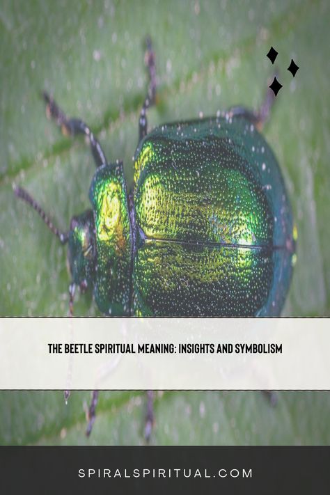 Discover the spiritual meaning of beetles. They symbolize transformation, protection, and resilience in various cultures and belief systems. Beetle Spiritual Meaning, Recurring Dreams, Color Symbolism, The Beetle, Post Animal, Animal Symbolism, Blue Beetle, Spiritual Symbols, Spiritual Guides