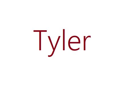 Tyler Name, Tyler Smith, Charlotte Taylor, William Miller, Charles Robinson, The Long Game, Cute Images For Wallpaper, Baby Boy Name, Best Character Names