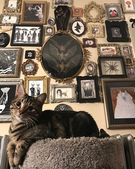 2,531 Likes, 24 Comments - Chandra GoreWitch ✨ (@lifeisapigsty) on Instagram: “My sweet boy ” Goth Decor Diy, Gothic House Decor, Dark Home Decor, Goth Home, Goth Home Decor, Dark Home, Goth Decor, Concept Home, Witchy Decor