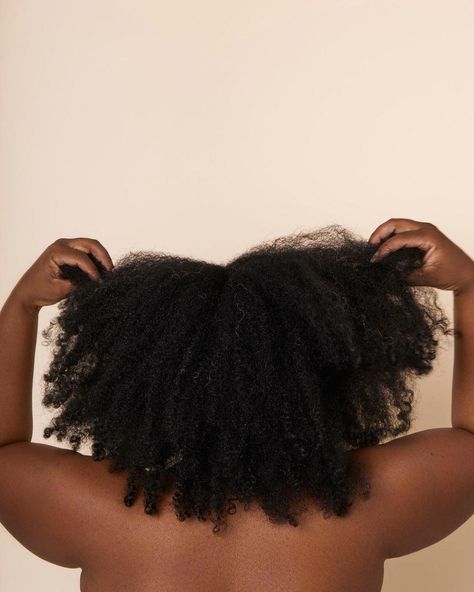 Interested in learning the necessary steps to safely lengthen your curls? Check out our tell-all blog to learn the ins and outs of hair stretching! Hair Stretching, Healthy Hair Mask, Hair Detox, Best Hair Mask, Damage Hair Care, Hair Mask For Damaged Hair, How To Grow Your Hair Faster, Natural Hair Mask, Hair Growing Tips