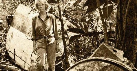 Juliane Koepcke: The Sole Plane Crash Survivor Forced To Live In The Jungle Juliane Koepcke, History People, Horror Show, In The Jungle, Amazing People, Good People, The Earth, History