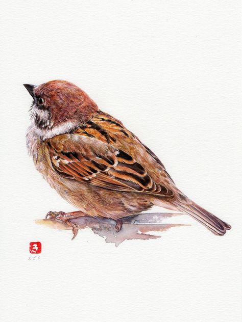 Bird Art & Artists | I wanted to draw the pattern on the sparrow's back, so I chose an angle where the back can be seen clearly Sparrow Painting, Flying Sparrow Drawing, Sparrow Bird Drawing, Sparrow Bird Painting, Drawing Sparrow Birds, Sparrow On Branch, Sparrow Drawing, World Music Day, Sparrow Art