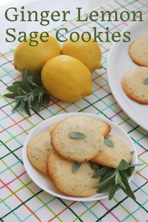 Herb Cookies Recipes, Sage Dessert Recipes, Cookies With Herbs, Lemon Ginger Cookies, Lemon Ginger Dessert, Lemon And Ginger Cookies, Ginger Dessert Recipes, Herb Desserts, Sage Cookies