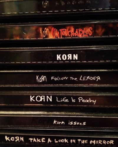 Follow The Leader, Look In The Mirror, Korn, The Leader, Music Stuff, My Vibe, Music Is Life, Aesthetic Pictures