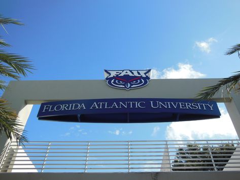 Florida Atlantic University, University Aesthetic, Dream College, Mechanical Engineering, One Month, College Life, Inspiration Board, Owls, University