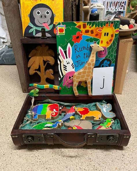 Story Suitcase, Book Suitcase, Childminding Ideas, Story Baskets, Book Play, Book Corner, Nursery Activities, Story Activities, Old Suitcases