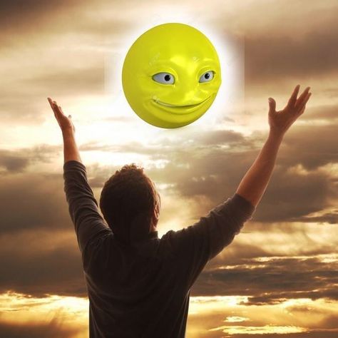 Praise The Sun, Gods Not Dead, Heck Yeah, Hams, Go Outside, Smiley Face, Reaction Pictures, Dankest Memes, Funny Images