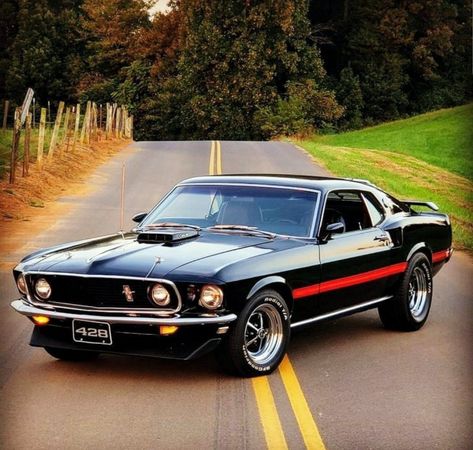 '69 Mustang - 428 Cobra Jet Ford Mustang 1969, Muscle Cars Mustang, 1969 Ford Mustang, Mustang Mach 1, Ford Mustang Fastback, Luxury Car Dealership, Mustang Cobra, Classic Mustang, Custom Muscle Cars