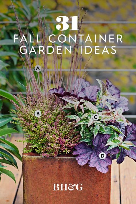 Liven up your fall garden with these stunning container garden ideas. Get creative with seasonal favorites such as mums, flowering kale, and pansies, or play with dynamic combinations of annuals, perennials, and grasses that also make excellent fall container plants. #containergardening #gardenideas #fallcontainergardenideas #fallgardening #bhg Fall Potted Plants, Shade Plants Container, Autumn Ambience, Fall Container Plants, Fall Flower Pots, Fall Pots, Fall Landscaping, Container Garden Ideas, Fall Container Gardens