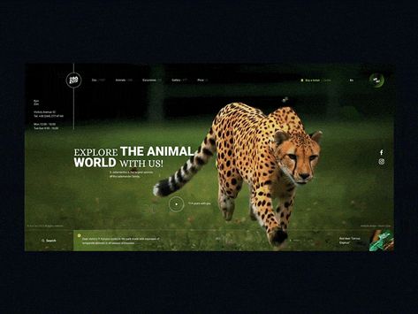 Zoo Design Graphics, Zoo Website, Nature Website, Zoo Park, Komodo Island, Animal Templates, Animal Conservation, Wild Dog, African Wild Dog