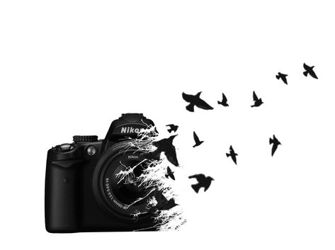 The birds don't make sense, but it'd be cool if they were Polaroid prints instead. Camera Film Tattoo, Png Camera, Camera Tattoo Design, Photographer Tattoo, Camera Tattoos, Camera Drawing, Nature Photography Tips, Camera Tattoo, Nature Tattoo