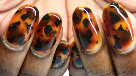 Matching your tortoise shell nails to your glasses! I am so grateful that my nails are featured in this Allure write up! Click through for some examples of more tortoise shell nails so you can get this manicure this fall! Shell Nails, Fall Manicure, Cute Nails For Fall, Animal Print Nails, Gel Designs, Color Kit, Pretty Nail Art, Nail Patterns, Fall Nail Art