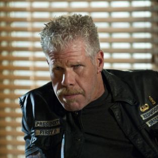 Ron Pearlman (Clay) Sons Of Arnachy, Mark Boone Junior, Hellboy Art, Sons Of Anarchy Samcro, Native American Actors, Ron Perlman, Danny Trejo, Dirt Bike Girl, Male Actors