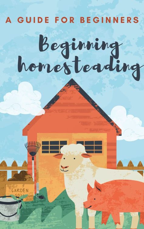 Beginning homesteading: A guide for beginners - The Domestic Geek Blog Domestic Geek, Preserve Food, Small Vegetable Gardens, Everyone Makes Mistakes, Learn From Your Mistakes, Food Scraps, Starting A Garden, Navigating Life, Grow Your Own Food