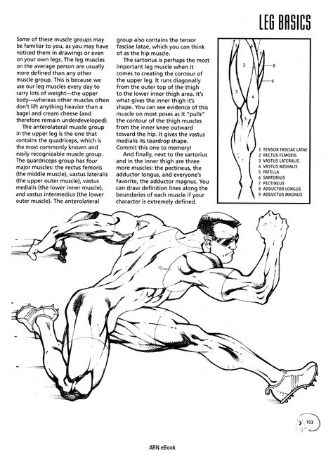 Christopher Hart Comic Book Anatomy, Book Anatomy, Christopher Hart, Drawing Topics, Leg Anatomy, Draw Comics, Anatomy For Artists, Model Sheet, Comic Drawing