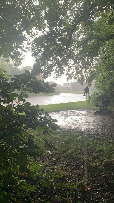 Calming Wallpaper, Greenery Wallpaper, Brow Tattoo, Rainy Day Aesthetic, Summer Storm, Dark Nature Aesthetic, Out Of The Woods, Pretty Landscapes, Rainy Night