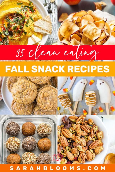 Snack smart this fall with these 35 Best Clean Eating Fall Snack Recipes Healthy Autumn Snacks, Healthy Fall Snacks Clean Eating, Fall Snack Ideas Healthy, Healthy Book Club Snacks, Autumnal Snacks, Fall Snacks Healthy, Savory Fall Snacks, Fall Snack Recipes, Clean Eating Fall Recipes