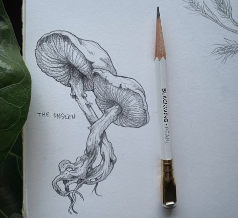 Roots Drawing, Mushroom Drawing, Nature Sketch, Root System, Mushroom Art, Doodle Art Designs, Hand Art, Sketchbook Art Inspiration, Art Drawings Sketches