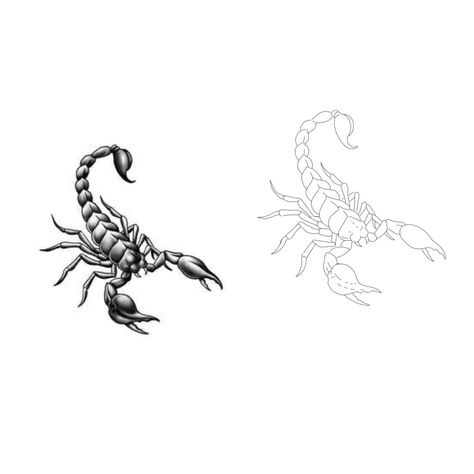 Scorpion Tattoo Outline, Scorpion Tattoo Drawing, Scorpion Tattoo Stencil, Small Scorpion Tattoo, Traditional Tattoo Dragon, Scorpion Tattoo Design, Scorpion Design, Spartan Tattoo, Traditional Tattoo Designs