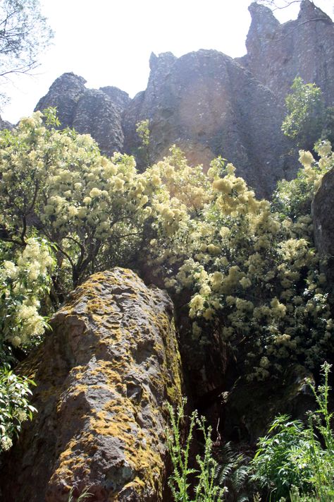 Hanging Rock Picnic At Hanging Rock 1975, Australian Gothic, Picnic At Hanging Rock, Hanging Rock, Texture Reference, Rainbow Serpent, Aesthetic Picnic, Fact Or Fiction, Crystal Cave