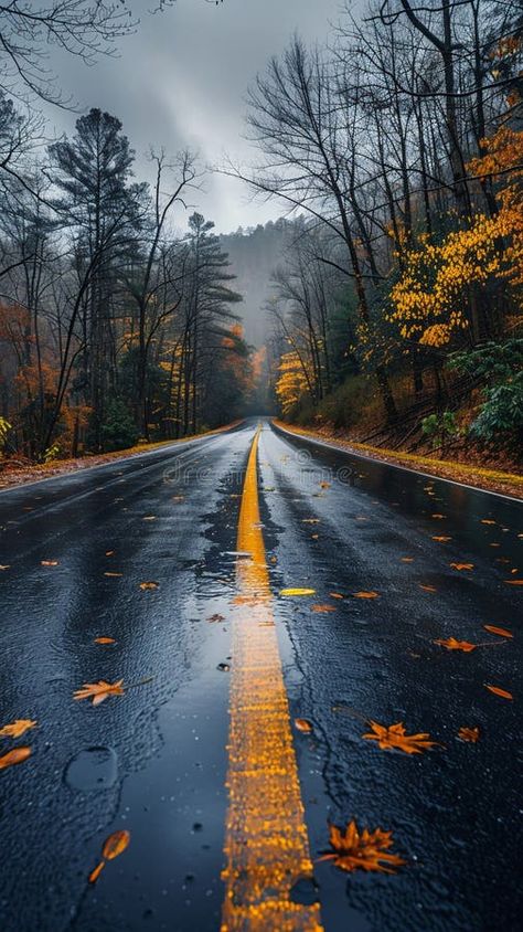 An open road stretching into the horizon flanked by natural scenery stock image Road Images, Tiktok Background, Road Photos, Road Background, Sky Photography Nature, Beautiful Roads, Background Photos, Natural Scenery, Homescreen Wallpaper