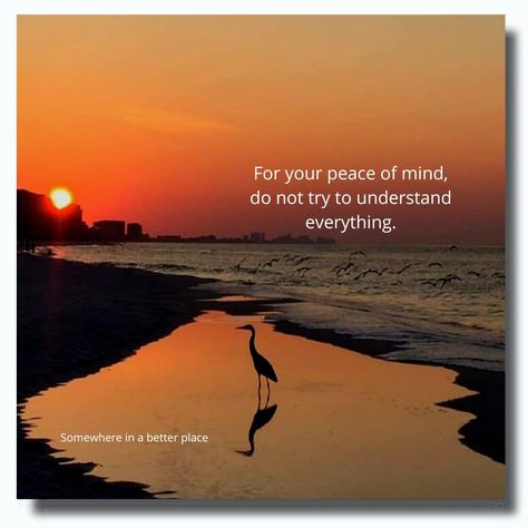 For your peace of mind, do not try to understand everything. For Your Peace Of Mind Do Not Try, My Peace Quotes, Mind Images, Peace Of Mind Quotes, Peaceful Mind Peaceful Life, Mind Thoughts, My Peace, Story Quotes, Poetry Inspiration