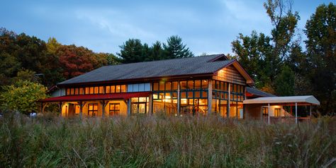 Creek Nature, Montgomery County Maryland, Community Resources, Rockville Maryland, School Field, School Field Trip, Dog Swimming, Environmental Education, Montgomery County