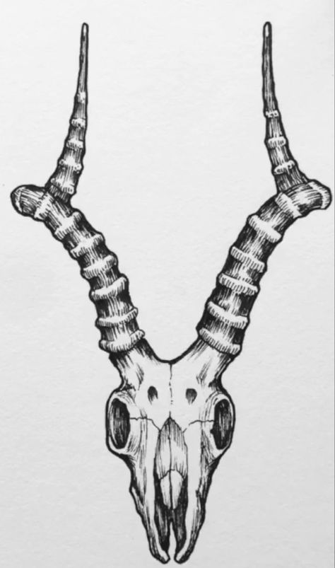 Skull Horns Tattoo, Skull With Horns Tattoo Design, Tattoo Manifestation, Antelope Skull Drawing, Aries Skull Drawing, Gothic Ram Skull Tattoo, Demon Horns, Animal Skulls, Tattoo Inspo