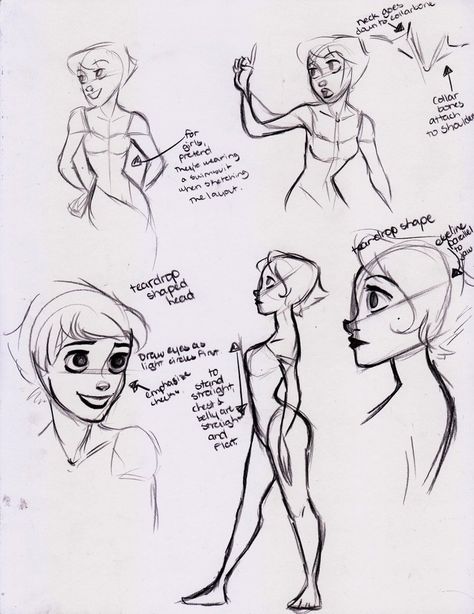 Glen Keane style drawing tips //OH MY WORD I AM SO EXCITED TO HAVE FOUND THIS!!  GLEN KEANE IS AMAZING! Disney Style Drawing, Disney Eyes, Glen Keane, Disney Drawing, Character Design Cartoon, Drawing Cartoon Faces, Character Model Sheet, Character Model, Model Sheet