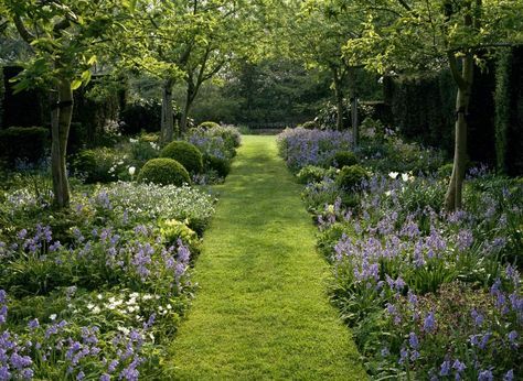 English Garden Style, Orchard Garden, Trees And Flowers, Forest Garden, Casa Exterior, Outdoor Gardens Design, Garden Landscape Design, Green Garden, The Grove