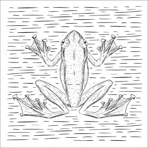 Frog Hands Drawing, Speed Draw, Frog Illustration, Free Hand Drawing, Hand Drawn Vector, Color Pencil Art, Hand Drawing, Free Hand, Colored Pencil